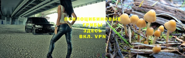 каннабис Сосновоборск
