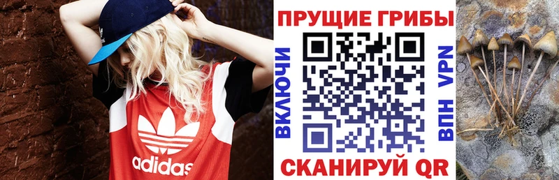 Галлюциногенные грибы MAGIC MUSHROOMS  Пестово 